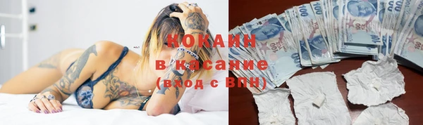 кокс Алексин