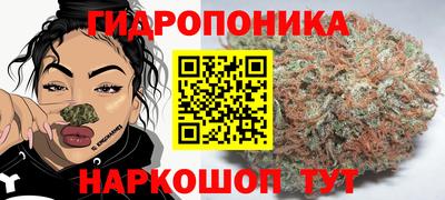 гидропоника Ирбит