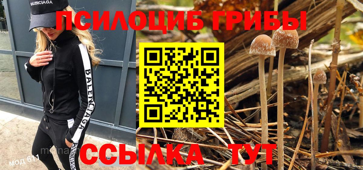 Галлюциногенные грибы Нефтекамск