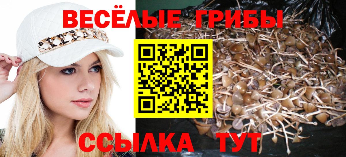 Псилоцибиновые грибы прущие грибы Нефтекамск