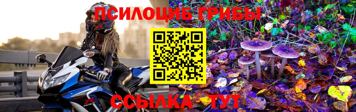 Галлюциногенные грибы ЛСД  Вход с VPN  Псилоцибиновые грибы мицелий  Нефтекамск 